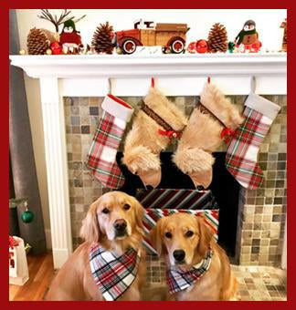This Golden Retriever shaped Christmas dog stocking is perfect for stuffing toys and treats into to spoil your fur baby for Christmas, or whatever holiday you celebrate!