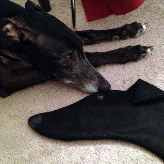 Greyhound Christmas dog stockings are perfect for stuffing toys and treats into to spoil your fur baby for Christmas, or whatever holiday you celebrate!