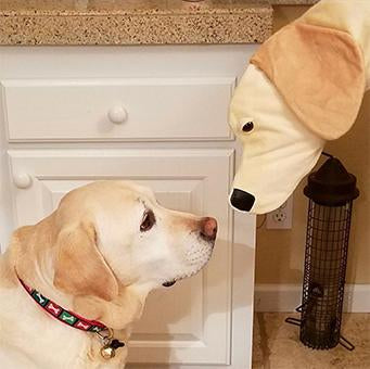 This Yellow Lab shaped Christmas dog stocking is the perfect gift for stuffing toys and treats into to spoil your fur baby for Christmas, or whatever holiday you celebrate!